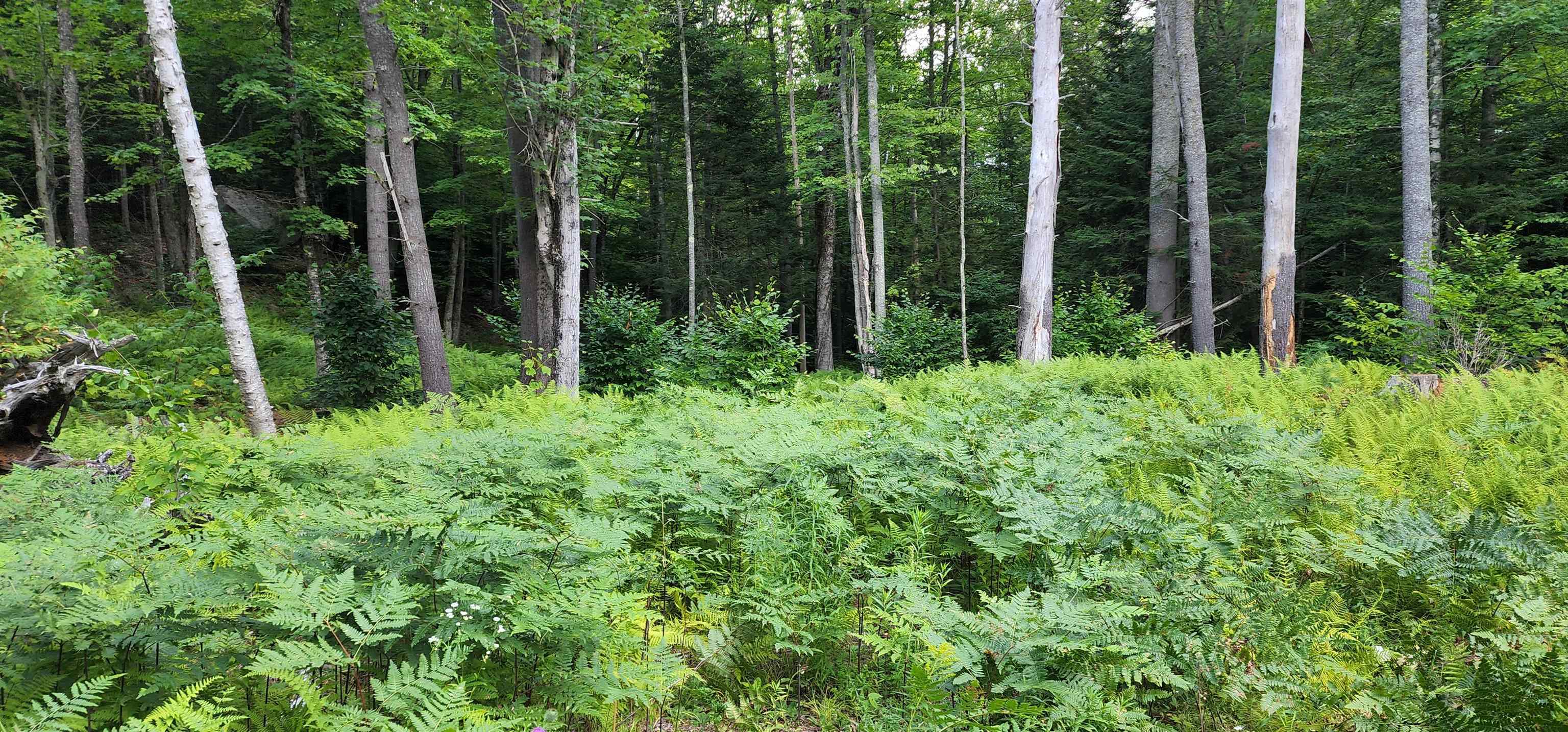 478 Valley Lake Road Woodbury, VT 05681 - Photo 1 of 10 Gallery Image 1