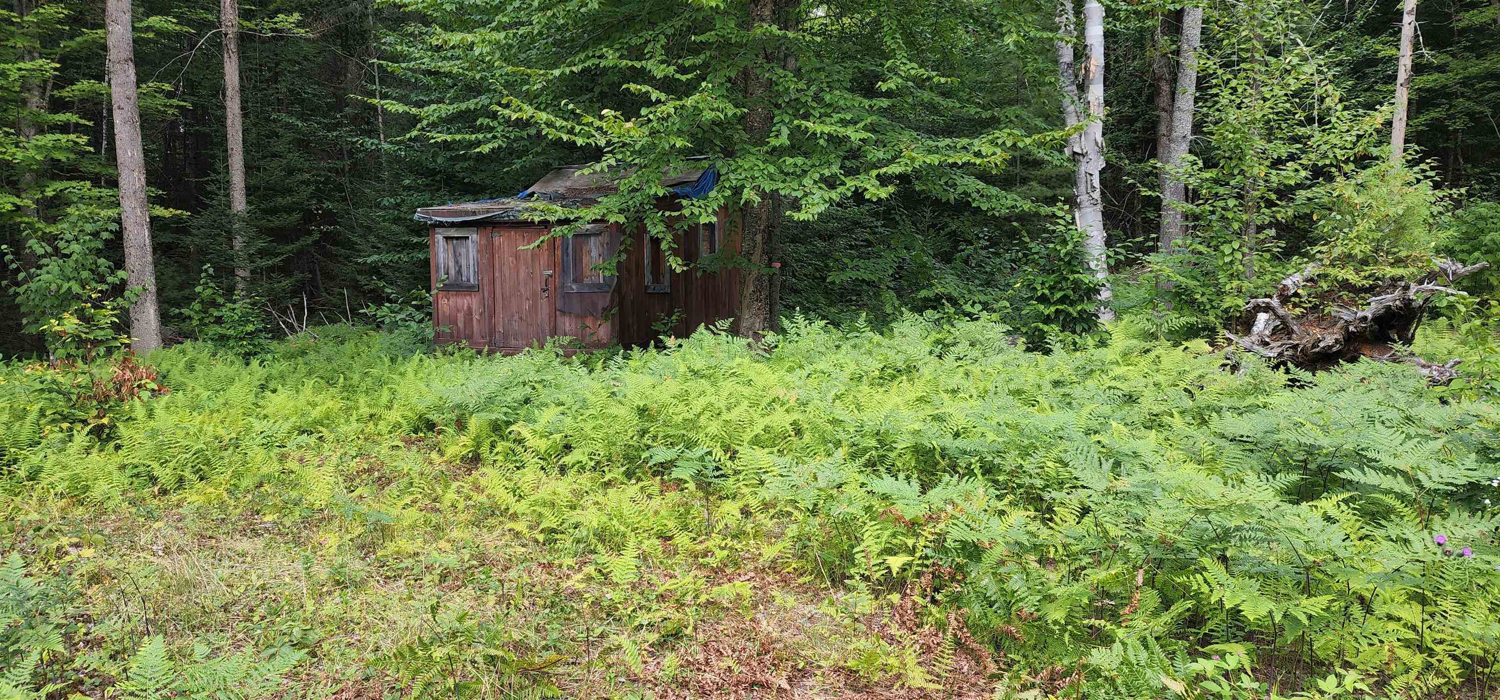 478 Valley Lake Road Woodbury, VT 05681 - Photo 2 of 10 Gallery Image 2