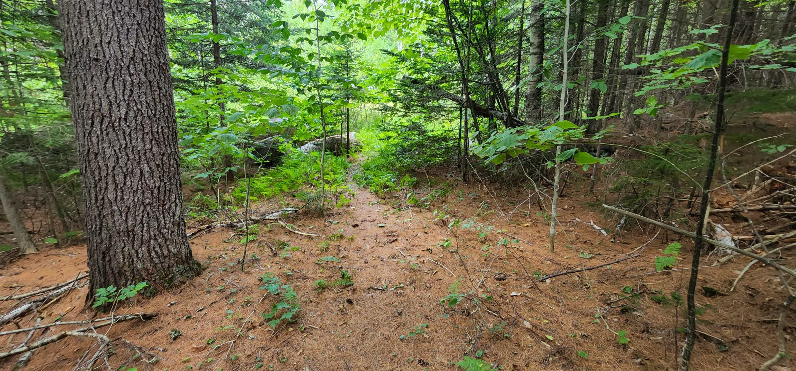 478 Valley Lake Road Woodbury, VT 05681 - Photo 6 of 10 Gallery Image 6
