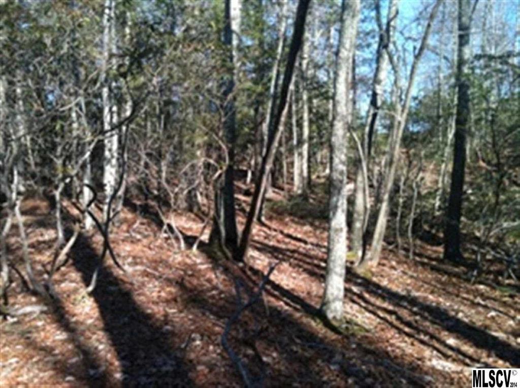 Lot 9 Running Pine Road, Unit 9 Boone, NC 28607 - Photo 1 of 7 Gallery Image 1