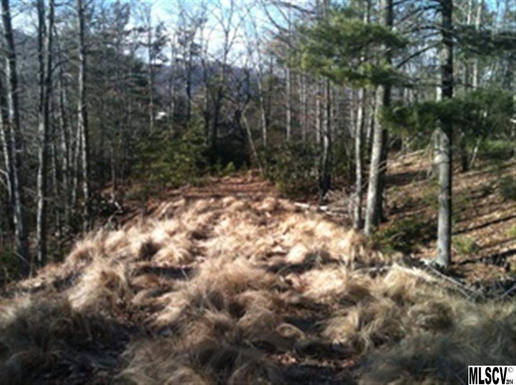 Lot 9 Running Pine Road, Unit 9 Boone, NC 28607 - Photo 5 of 7 Gallery Image 5