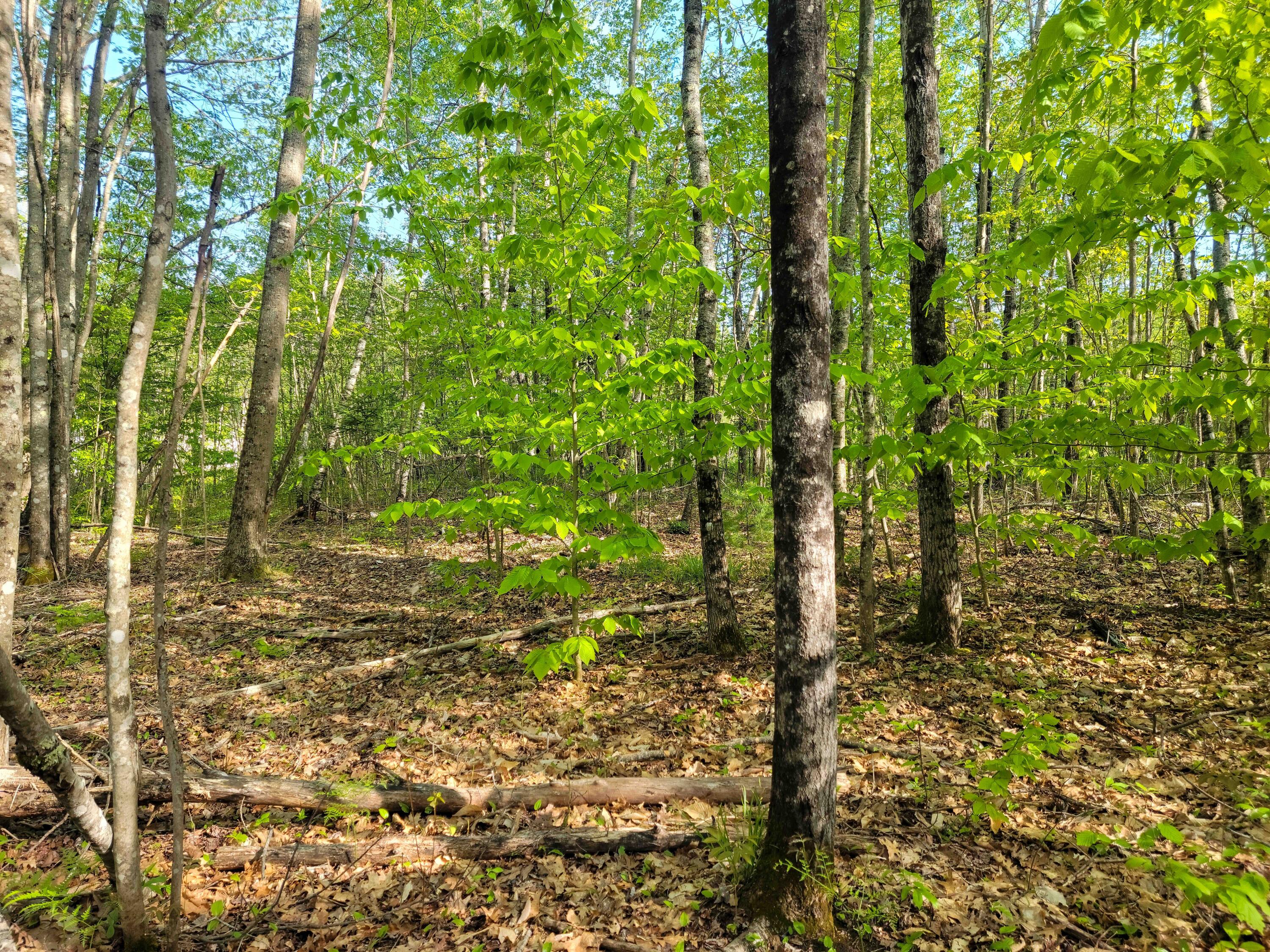 Lot 4 Newell Court (2 of 17)