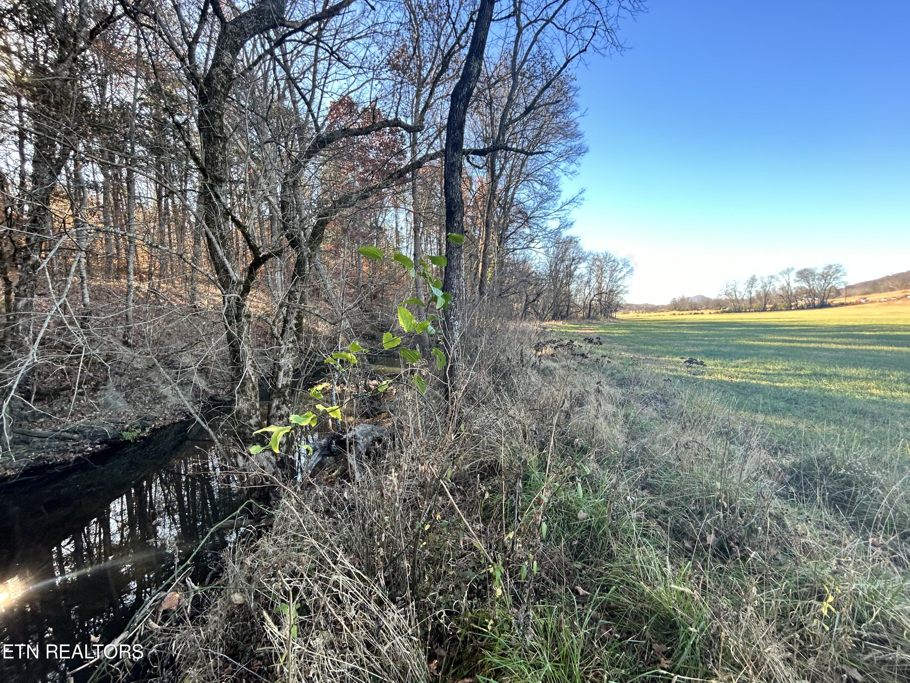 2 Rutledge Pike Blaine, TN 37709 - Photo 8 of 14 IMG_4452