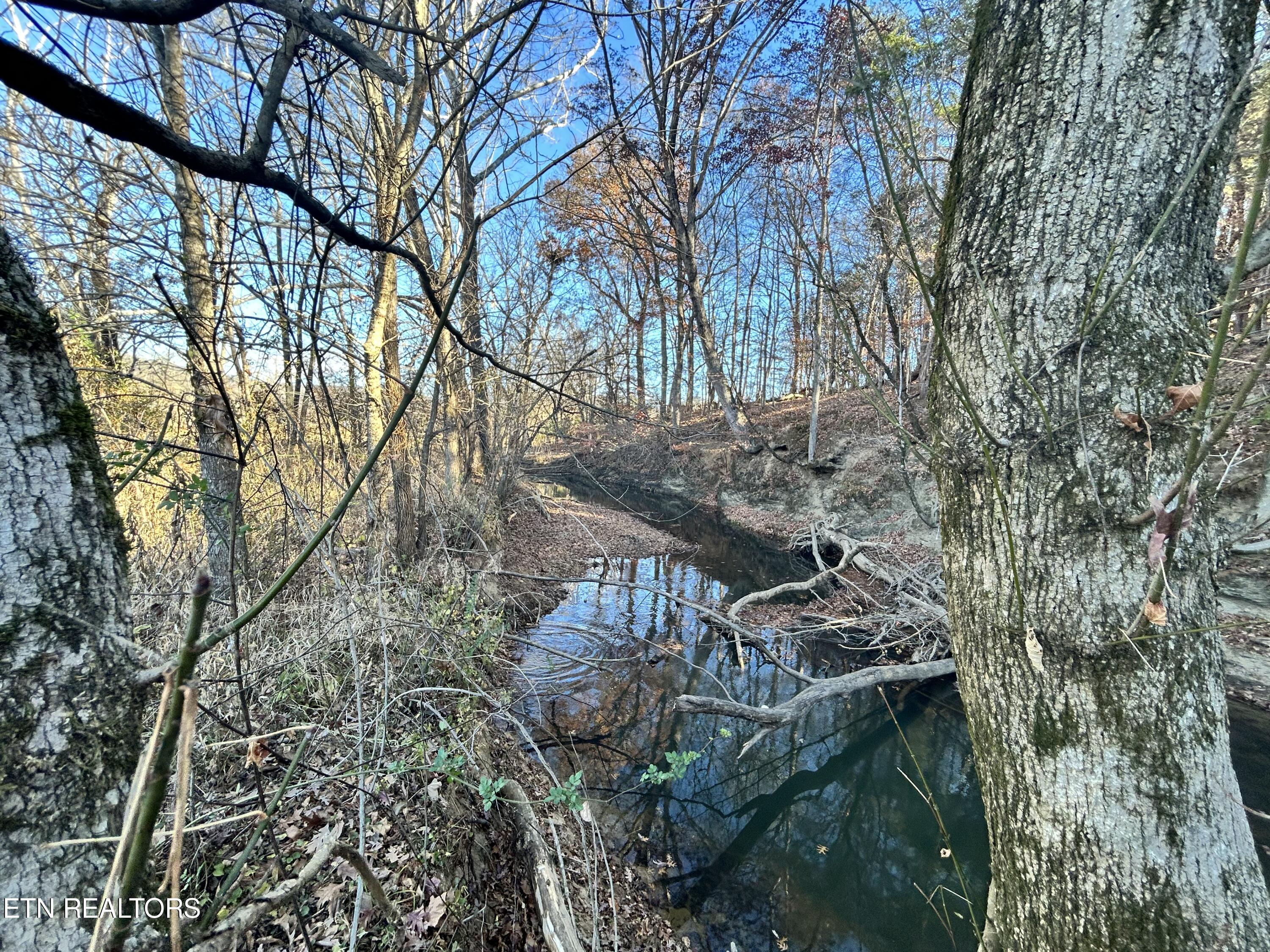 2 Rutledge Pike Blaine, TN 37709 - Photo 9 of 14 IMG_4455