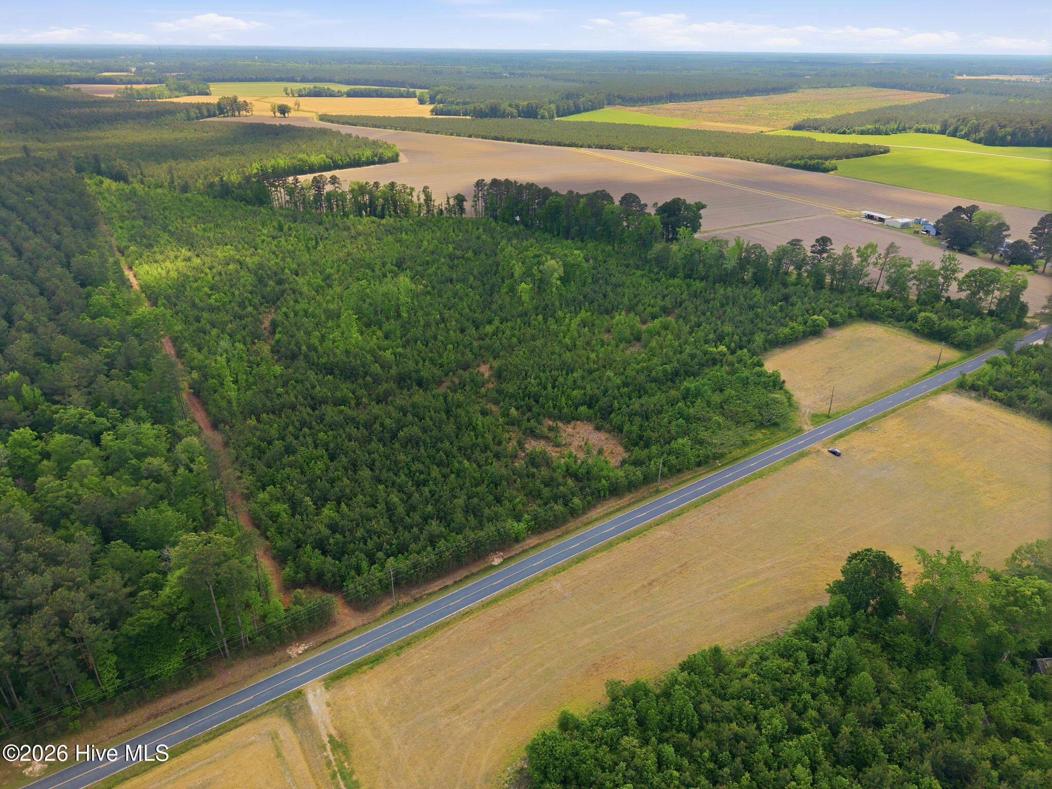 2733 Jim Taylor Road Robersonville, NC 27871 - Photo 3 of 10 3-web-or-mls-dji_20260424143103_0013_d