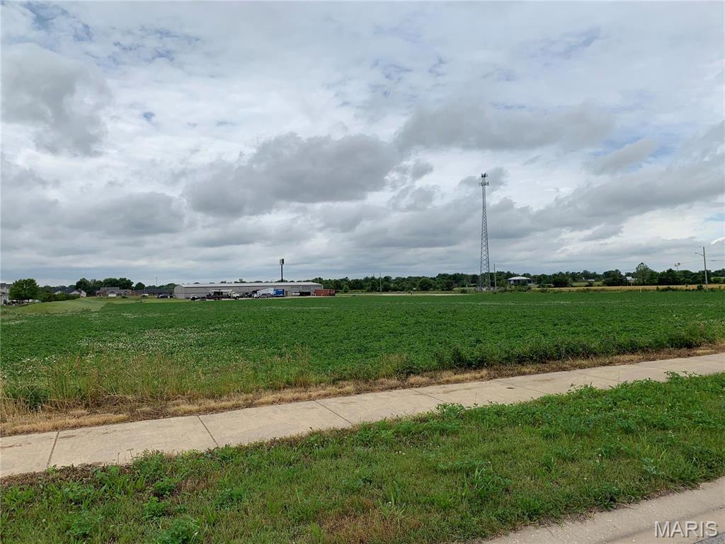 13964 Best One Drive Breese, IL 62230 - Photo 2 of 3