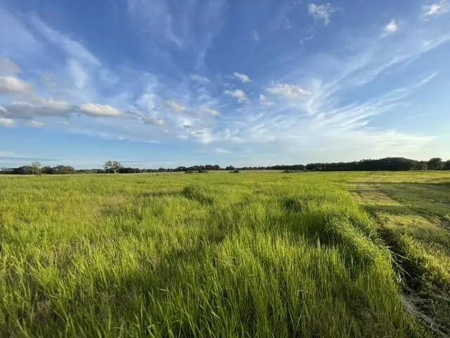 $4,250,000 | 2505 Summer Oaks Circle, Summertown, TN 38483