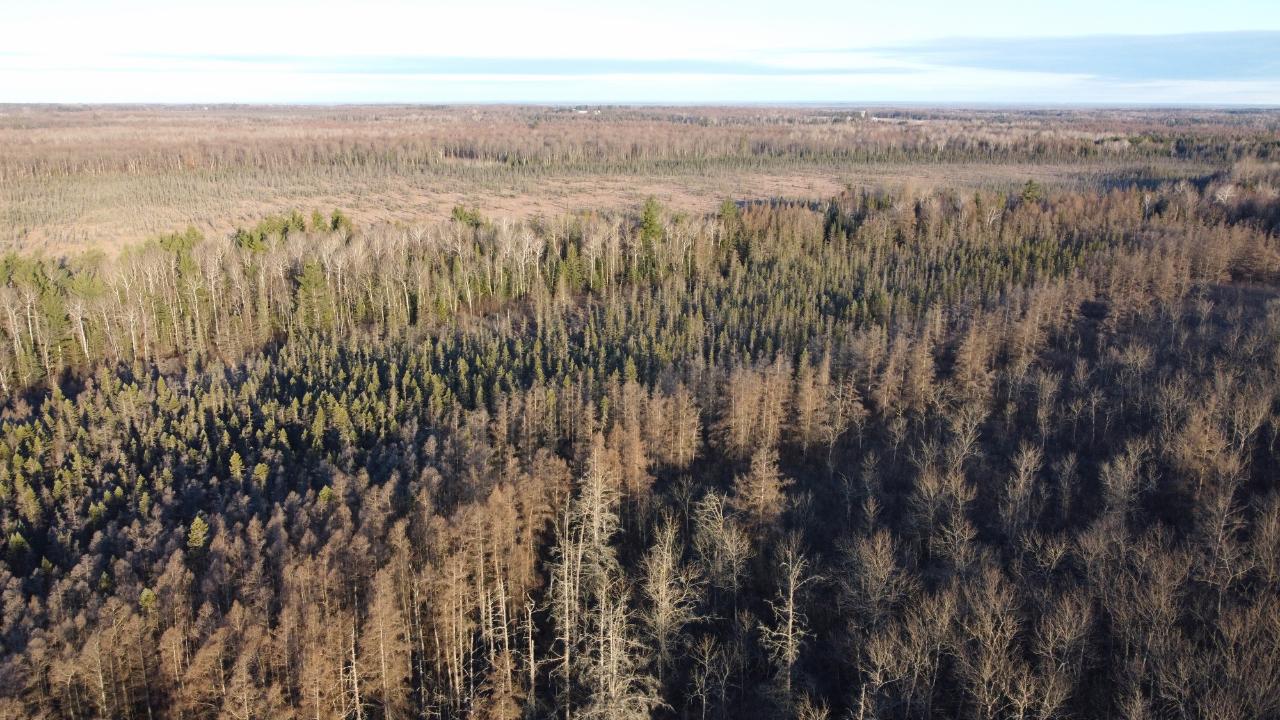 N7295 East Dover Road Phillips, WI 54555 - Photo 25 of 35 Gallery Image 25