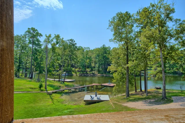 a view of a park with large trees