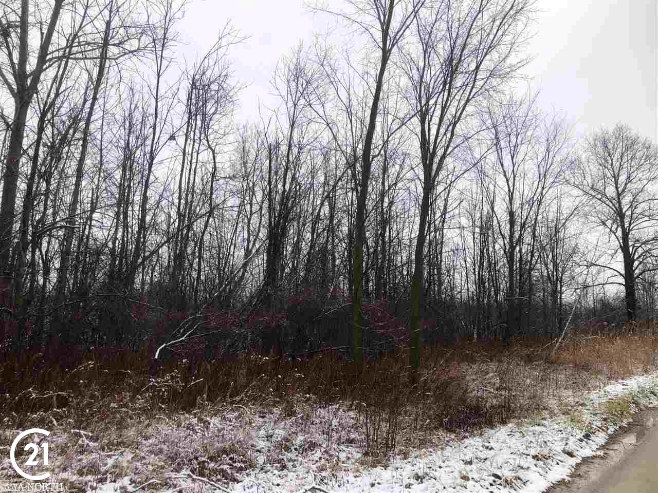 0 Hill Riley Mi 48041 Memphis, MI 48041 - Photo 5 of 7