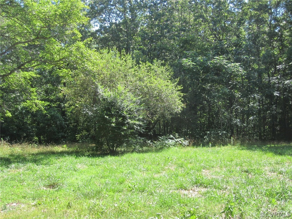 6244 Davis Lowground Road Keysville, VA 23947 - Photo 5 of 7 a view of outdoor space and yard