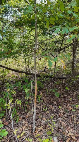 $850,000 | 9350 Southeast 500 Road, Collins, MO 64738