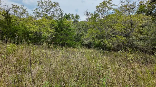 $850,000 | 9350 Southeast 500 Road, Collins, MO 64738