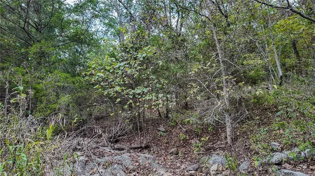 $850,000 | 9350 Southeast 500 Road, Collins, MO 64738