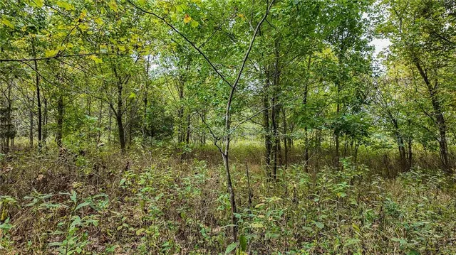 $850,000 | 9350 Southeast 500 Road, Collins, MO 64738