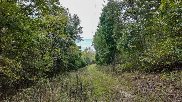 $850,000 | 9350 Southeast 500 Road, Collins, MO 64738