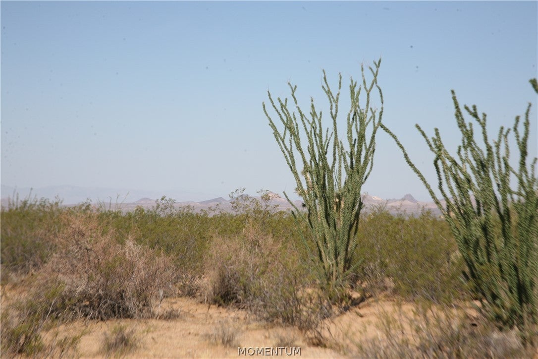 243-15-016 South Custer Road, Unit 3491 Yucca, AZ 86438 - Photo 28 of 61 Gallery Image 28
