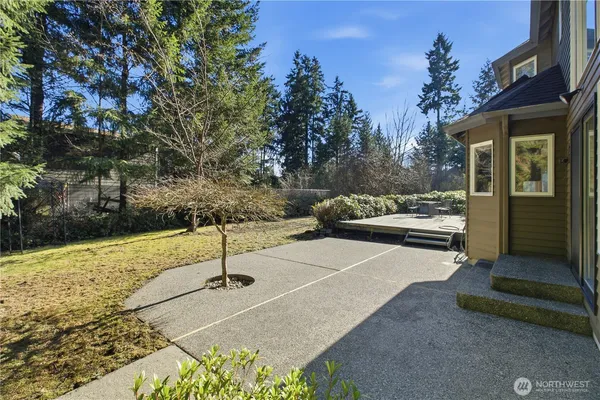a view of a tree with a plant