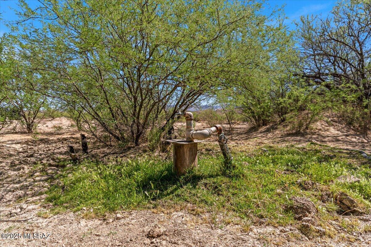 16180 Redington Road Benson, AZ 85602 - Photo 9 of 17 a backyard of a house with lots of green space