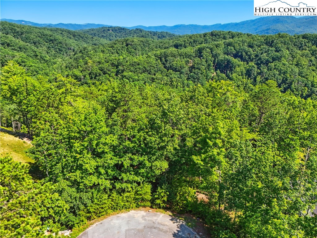 288 Ninebark Road Boone, NC 28607 - Photo 1 of 30 Gallery Image 1