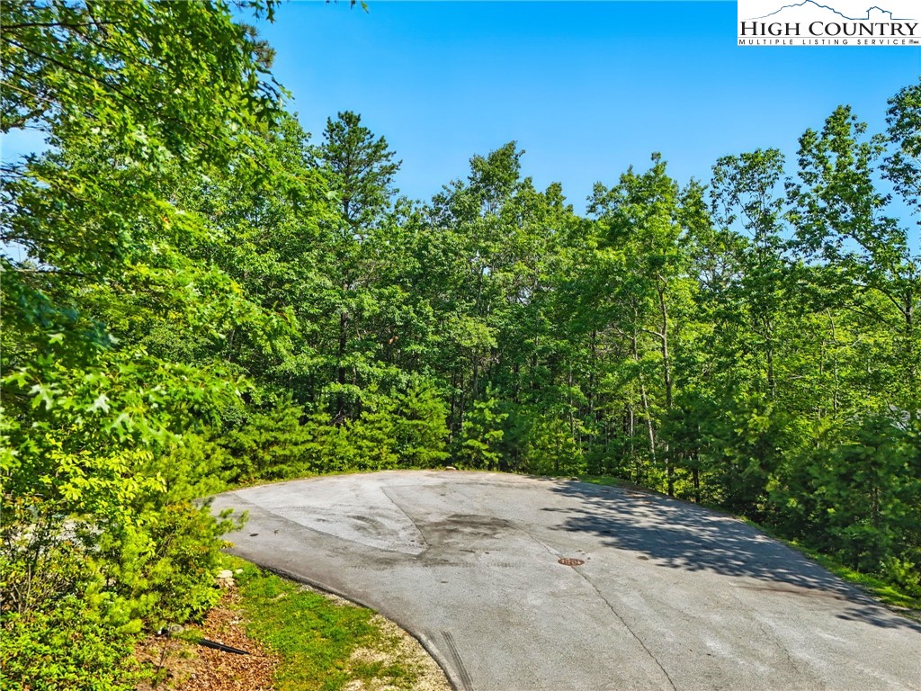 288 Ninebark Road Boone, NC 28607 - Photo 2 of 30 Gallery Image 2