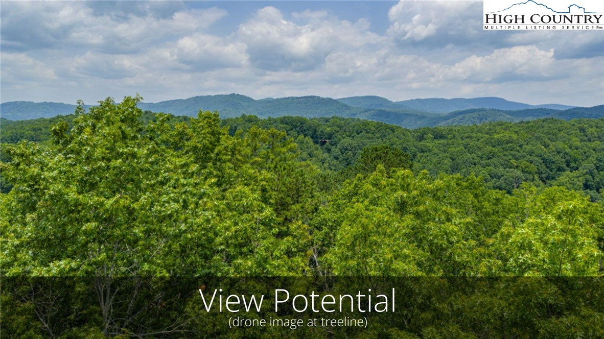 288 Ninebark Road Boone, NC 28607 - Photo 3 of 30 Gallery Image 3