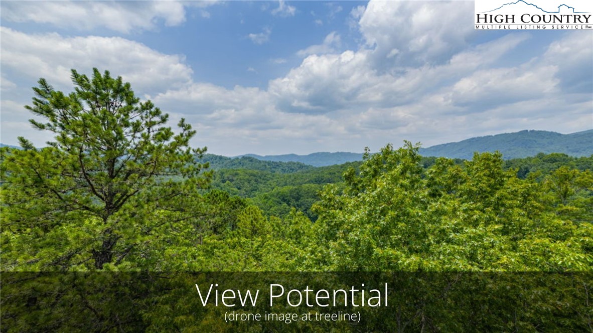 288 Ninebark Road Boone, NC 28607 - Photo 4 of 30 Gallery Image 4