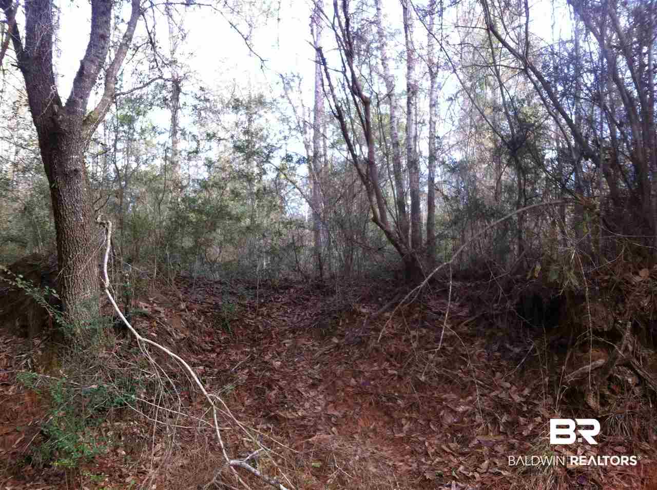 2 Red Cloud Road Baker, FL 32531 - Photo 2 of 5