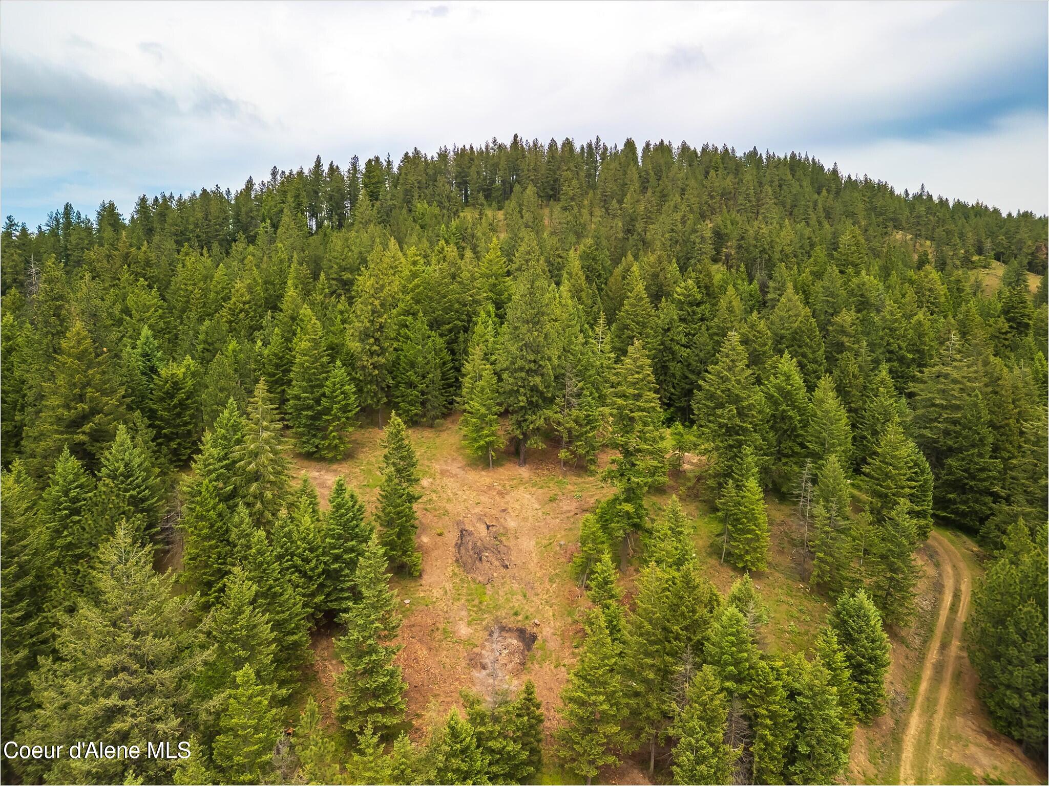 7509 East High Chaparral Road Coeur D'Alene, ID 83814 - Photo 29 of 30 27-DJI_0934-HDR