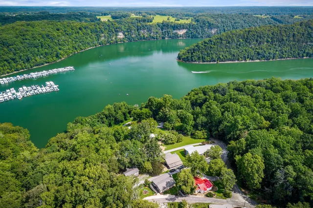a view of lake and trees