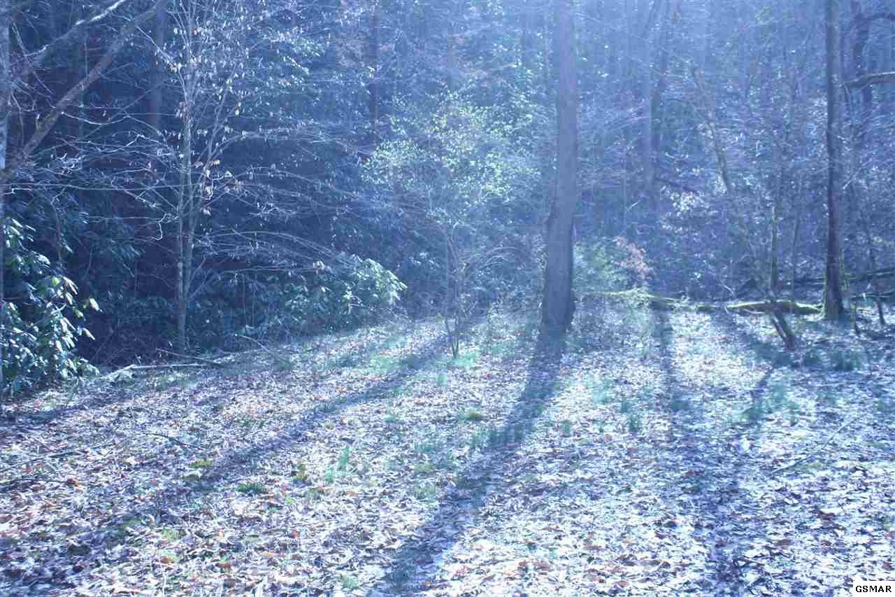 0 Ball Hollow Road Cosby, TN 37722 - Photo 15 of 36 Gallery Image 15