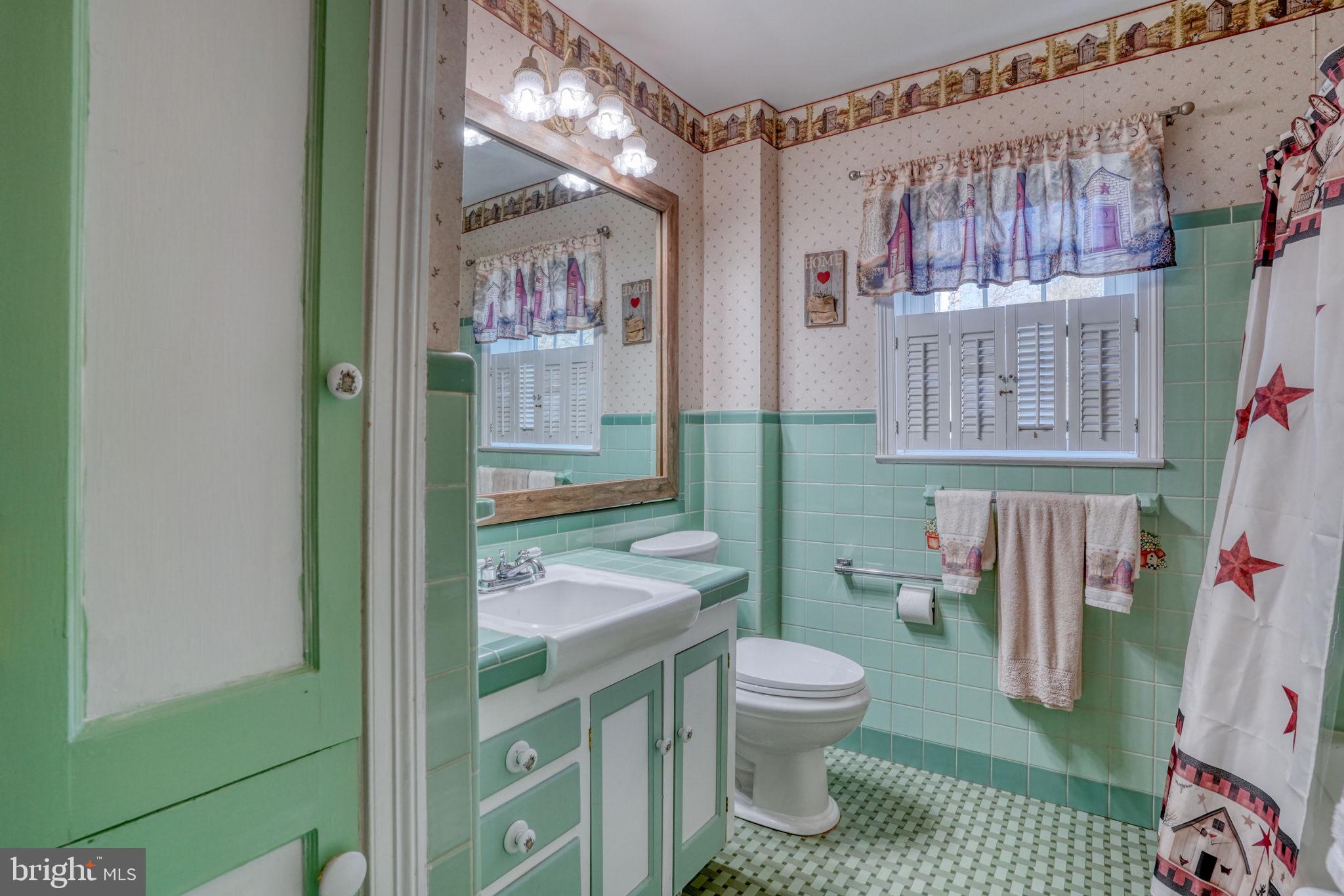 455 East Loockerman Street Dover, DE 19901 - Photo 24 of 55 a bathroom with a sink a toilet and shower curtain