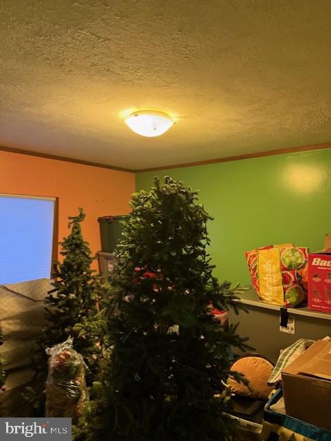 2 Weber Road Bridgeton, NJ 08302 - Photo 12 of 13