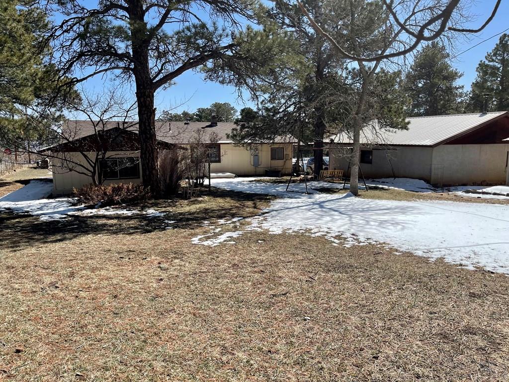 10229 Singer Lane Rye, CO 81069 - Photo 3 of 27