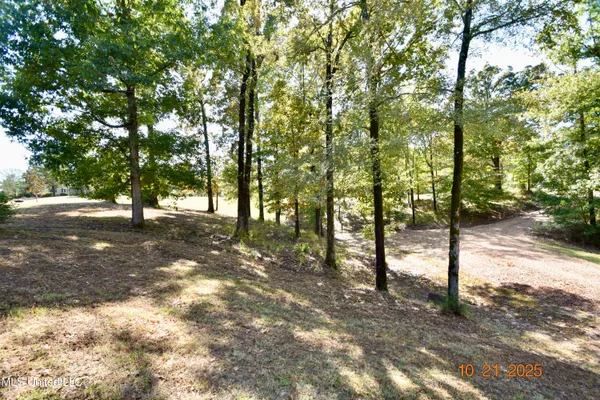 $985,000 | 2711 Highway 35, Carrollton, MS 38917