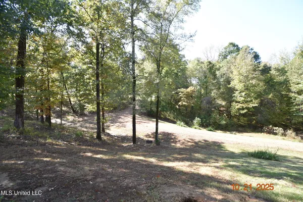 $985,000 | 2711 Highway 35, Carrollton, MS 38917