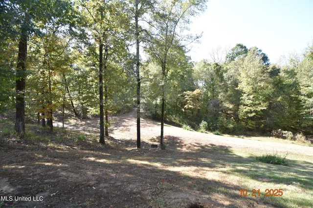 $1,200,000 | 2711 Highway 35, Carrollton, MS 38917