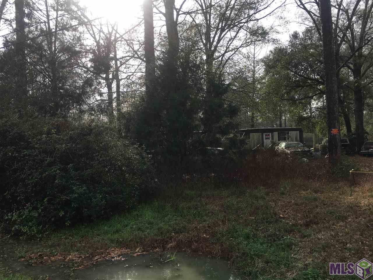 38517 Joe Lee Road Walker, LA 70785 - Photo 3 of 4 Gallery Image 3