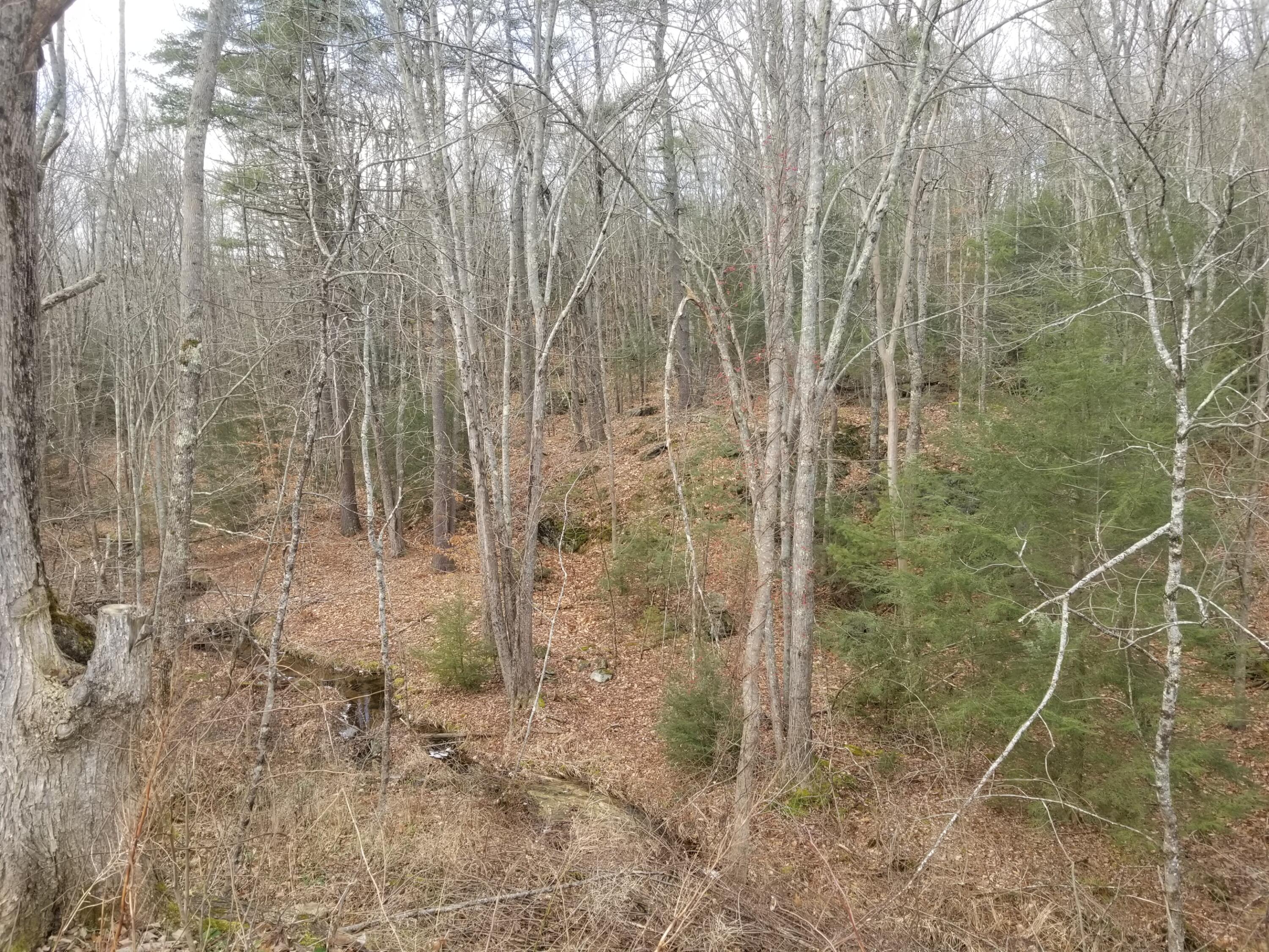 368 Meadow Road Woolwich, ME 04579 - Photo 11 of 27 20221215_111359