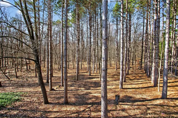 $719,900 | 7176 Sanctuary Drive, Jackson, MI 49201