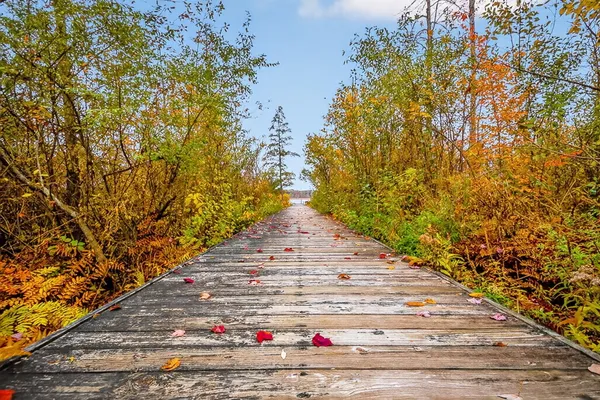 $719,900 | 7176 Sanctuary Drive, Jackson, MI 49201