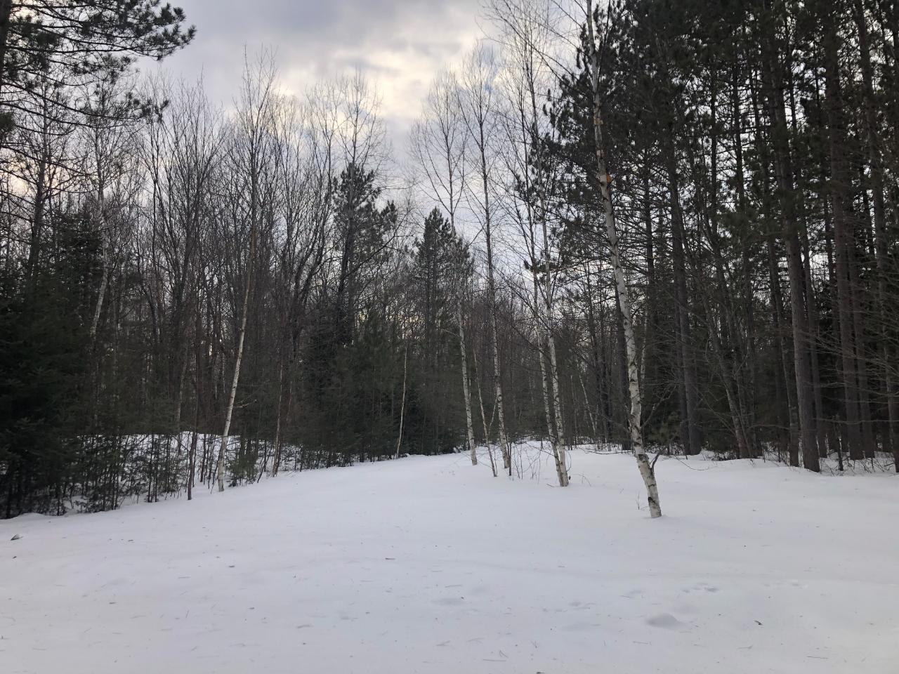 60-acres Pine Lake Road Minocqua, WI 54548 - Photo 2 of 11 Gallery Image 2