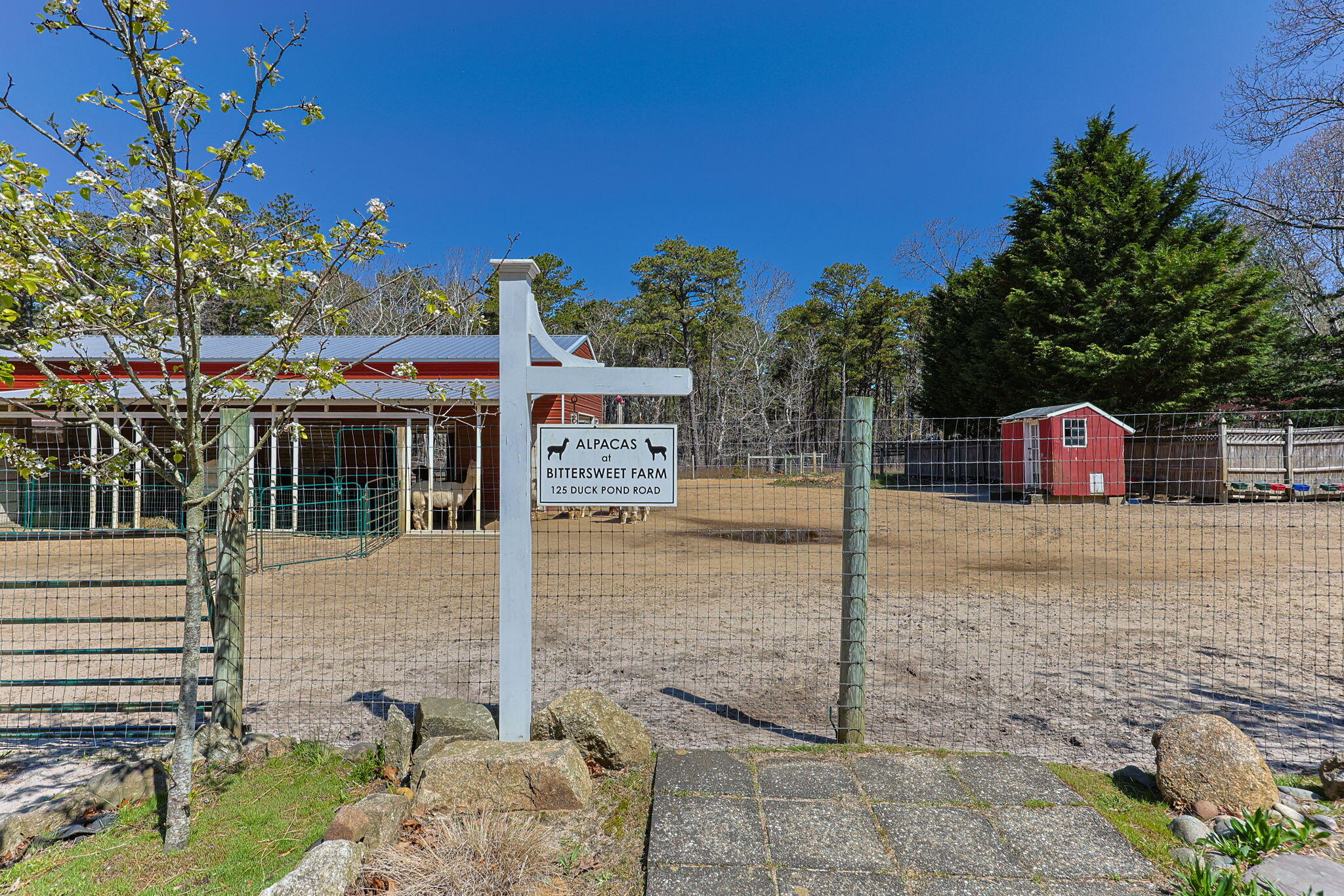 175 Delphi Path Wellfleet, MA 02667 - Photo 9 of 25 7-web-or-mls-175-delphi-path