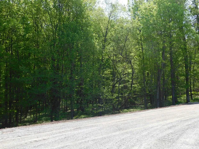 $12,000 | North Meisner Street, Wittenberg, WI 54499