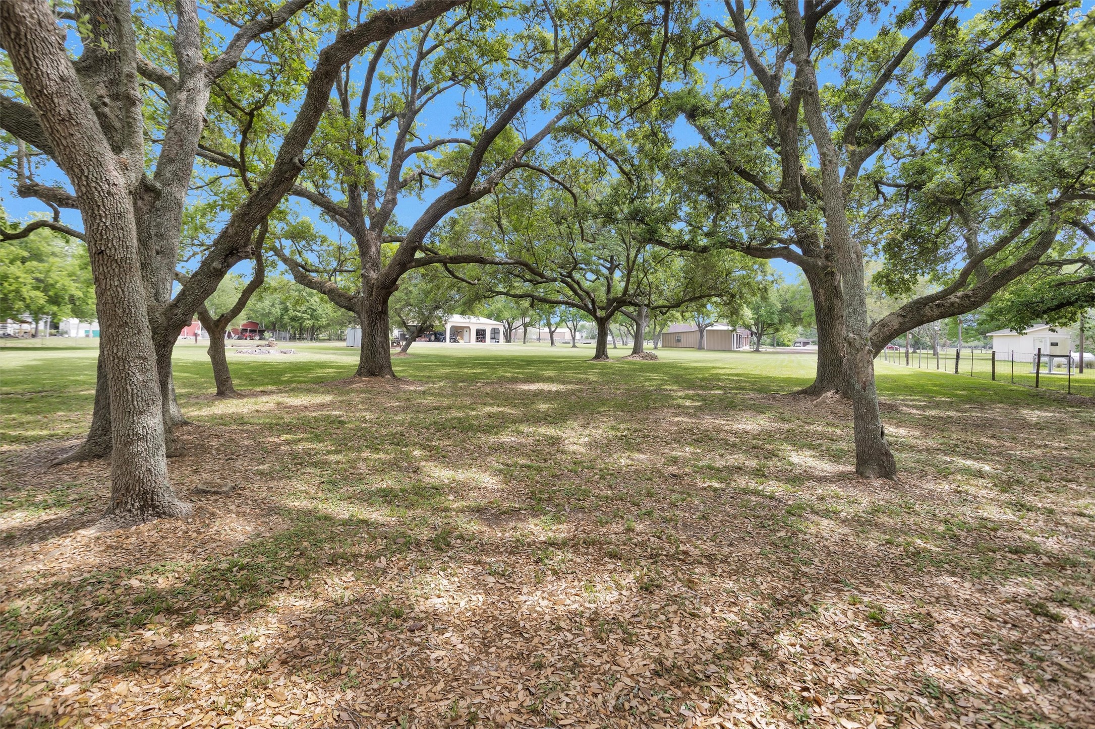 4402 Spears Road Manvel, TX 77578 - Photo 4 of 38