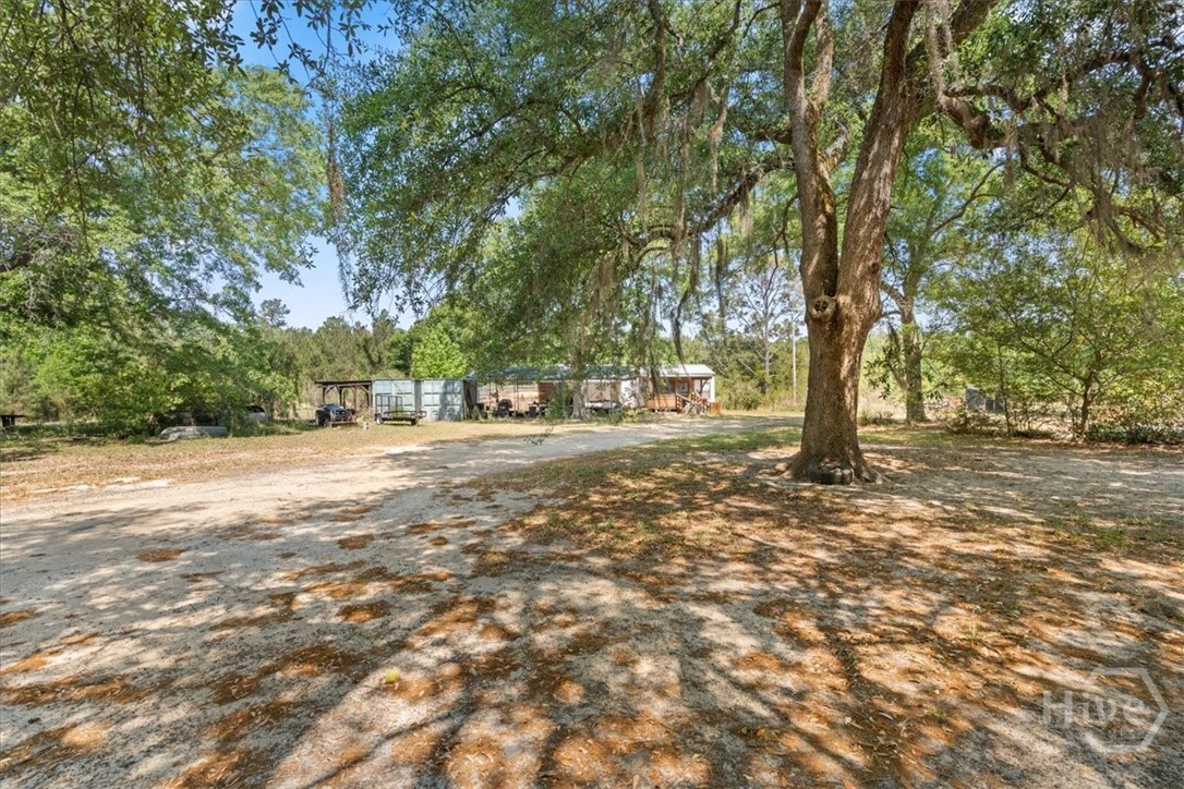 136 Wildwood Church Road Pembroke, GA 31321 - Photo 18 of 29 Beautiful shade trees