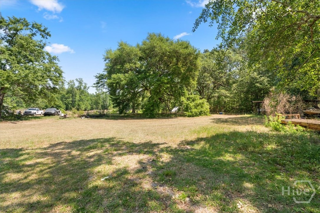 136 Wildwood Church Road Pembroke, GA 31321 - Photo 28 of 29