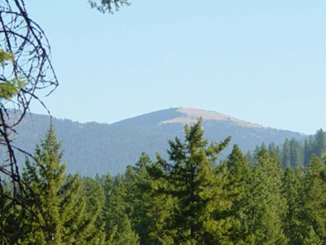 22013 North Greenbluff Circle Colbert, WA 99005 - Photo 3 of 9 Gallery Image 3