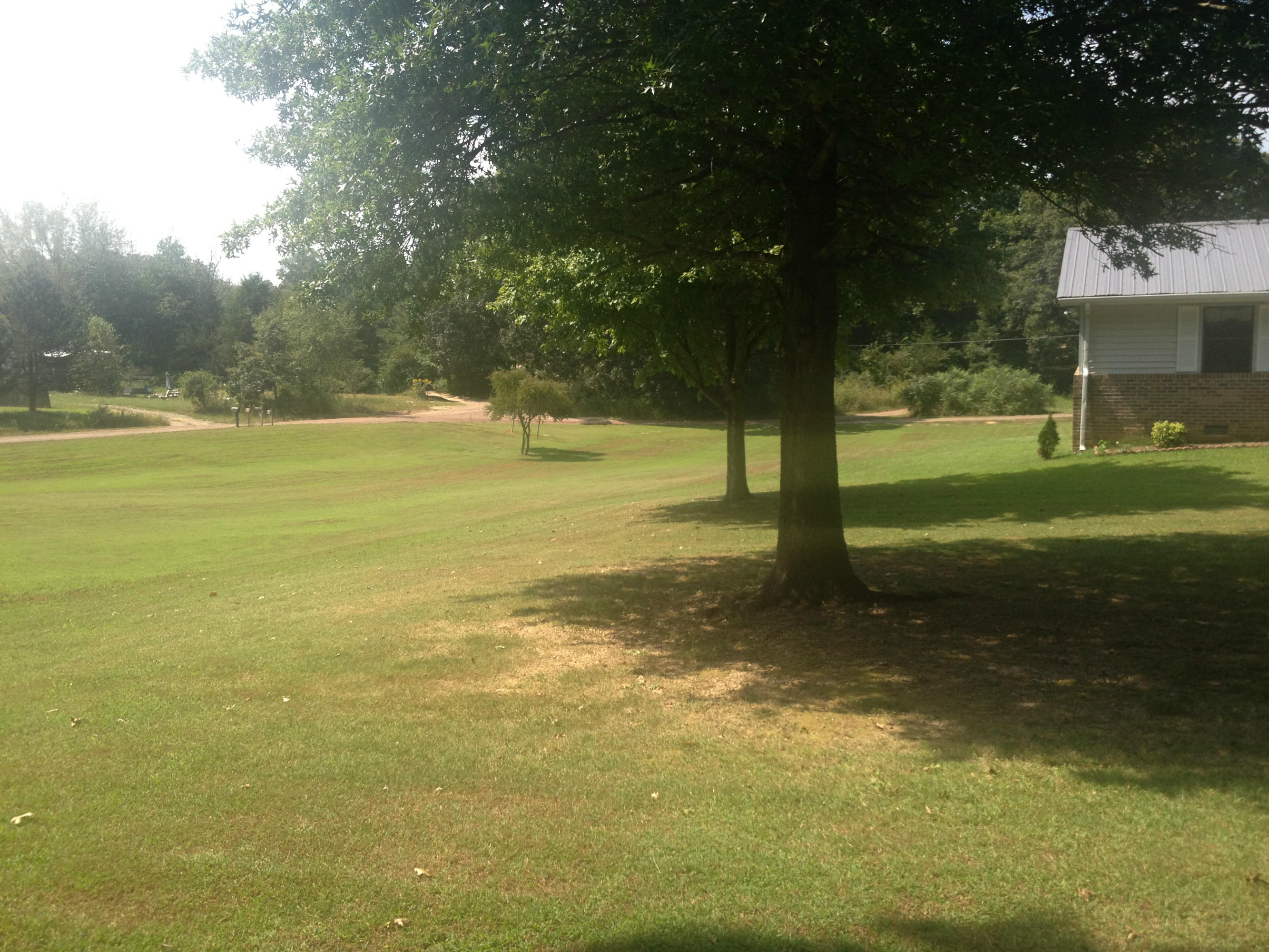 336 Turnpike Road Madisonville, TN 37354 - Photo 2 of 9 Large Side Yard