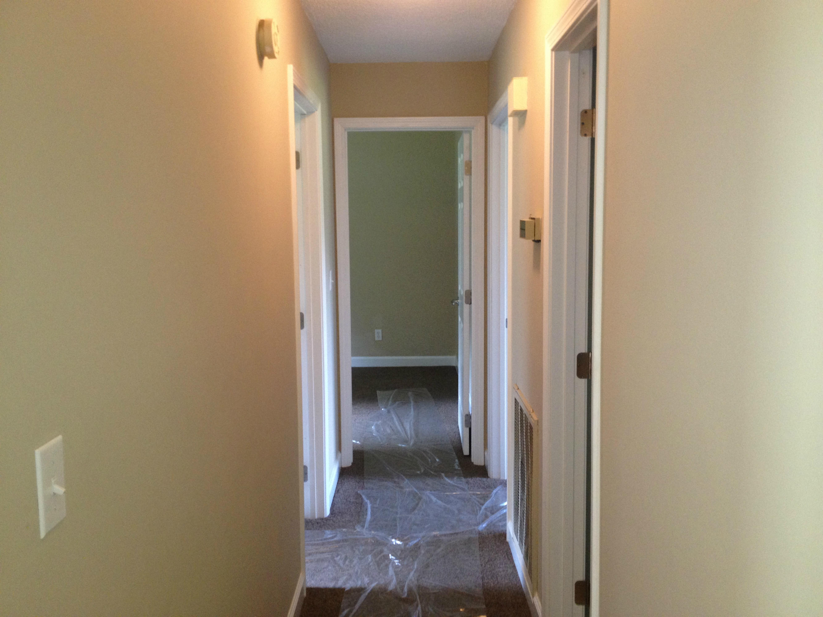 336 Turnpike Road Madisonville, TN 37354 - Photo 7 of 9 Hallway with New Carpet